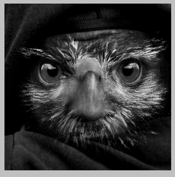 Creation of owl man: Step 3